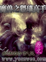 魔兽之猥琐高手